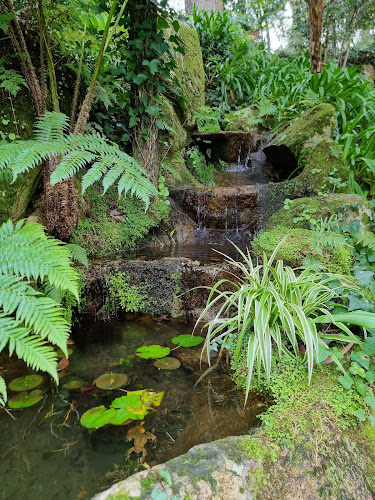 Parque das Merendas