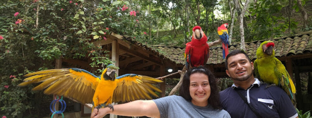 Parque de Aves Travel Forum Reviews