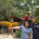 Parque de Aves