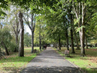 Parque de Ferrera Travel Forum Reviews