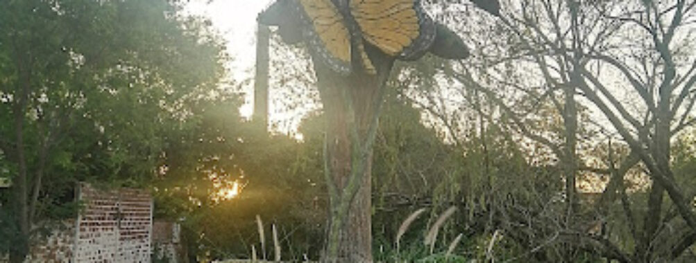 Parque de La Ciudad Travel Forum Reviews