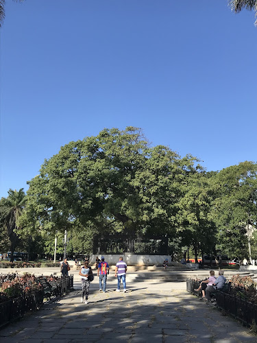 Parque de la Fraternidad