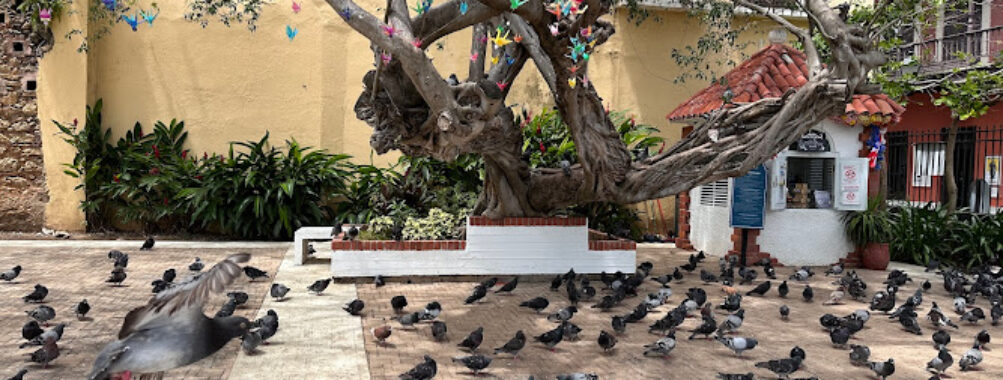Parque de las Palomas Travel Forum Reviews