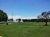 Parque de los Niños Travel Forum Reviews