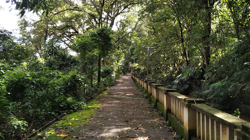 Parque do Mirante Ladice Soriano Salgot
