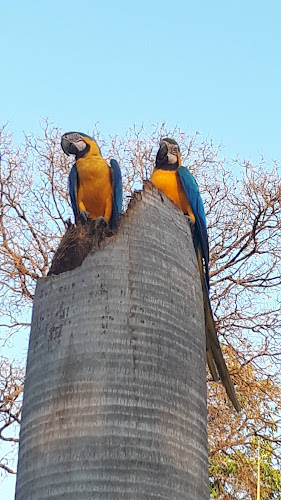 Parque dos Poderes