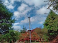 Parque escalada cuerdas Travel Forum Reviews