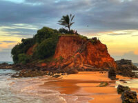 Parrot Rock Travel Forum Reviews