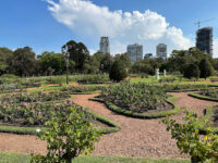 Paseo El Rosedal Garden Travel Forum Reviews