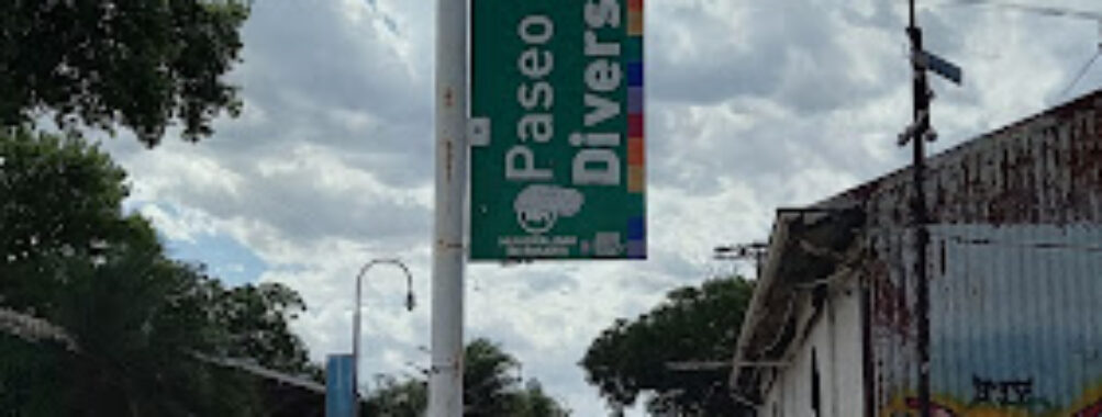 Paseo de la Diversidad Travel Forum Reviews