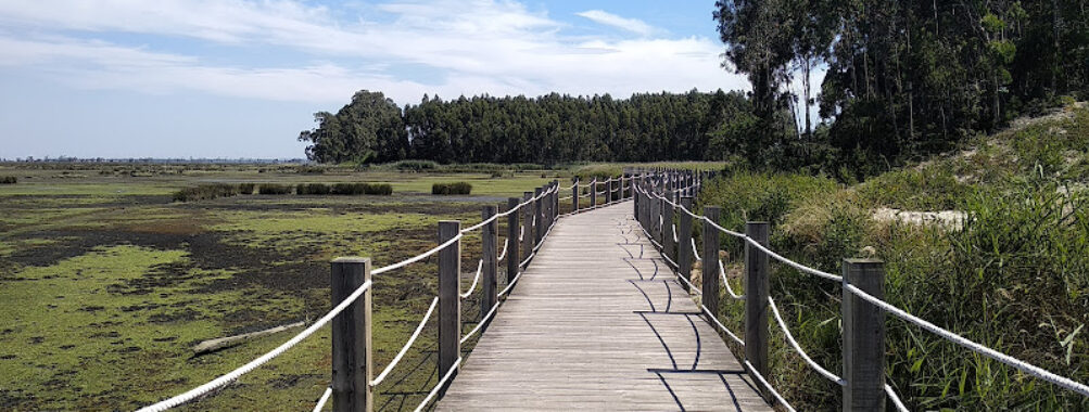Passadiços de Aveiro (início) Travel Forum Reviews
