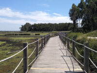 Passadiços de Aveiro (início) Travel Forum Reviews