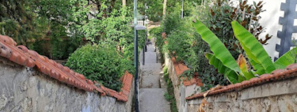 Passage Paul Travel Forum Reviews