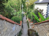 Passage Paul Travel Forum Reviews