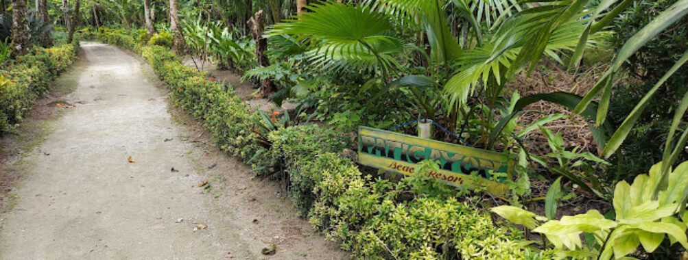 Patigayon Beach Resort Travel Forum Reviews