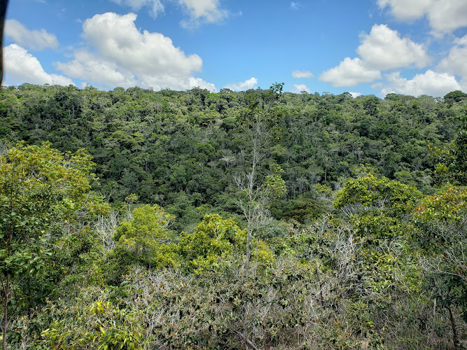 Pau Brasil National Park