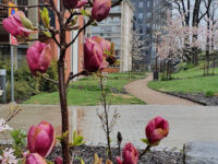 Paul Bobergs park Travel Forum Reviews