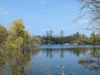 Paxton Pits Nature Reserve Travel Forum Reviews