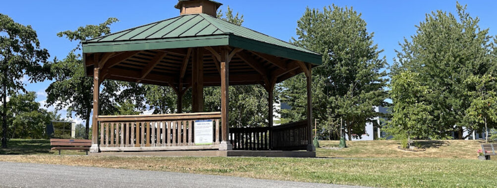 Peace Park Travel Forum Reviews