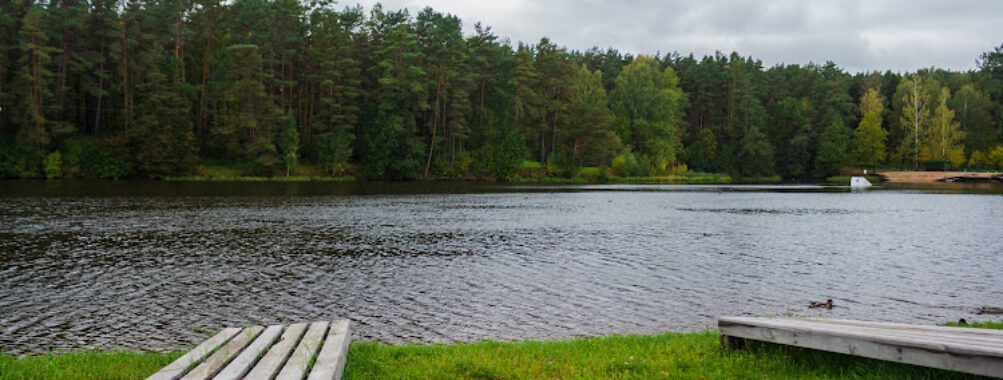 Pecherskiy Lesopark Travel Forum Reviews