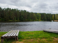 Pecherskiy Lesopark Travel Forum Reviews