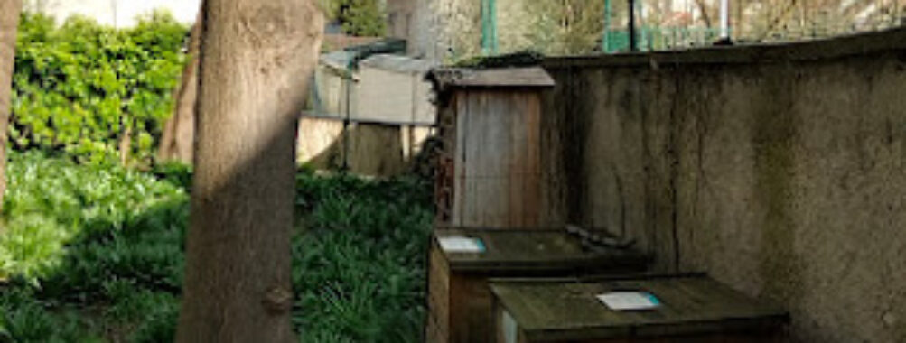 Pédagogique Legendre - Cheron Garden Travel Forum Reviews