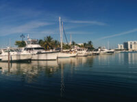 Pelican Harbor Marina Travel Forum Reviews