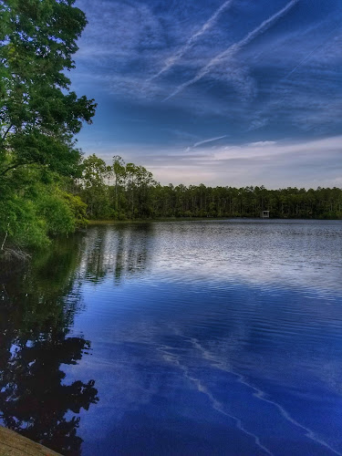 Pellicer Creek Conservation Area