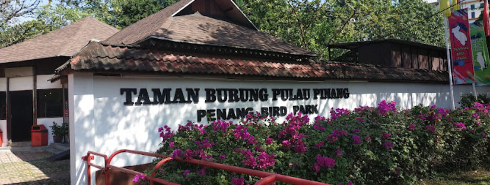Penang Bird Park Travel Forum Reviews