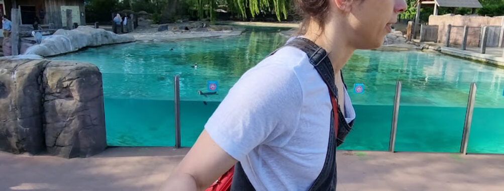 Penguin Beach Travel Forum Reviews