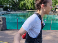 Penguin Beach Travel Forum Reviews