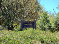 Penitencia Creek County Park Travel Forum Reviews