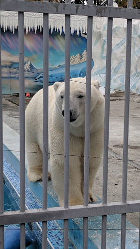 Penza Zoo