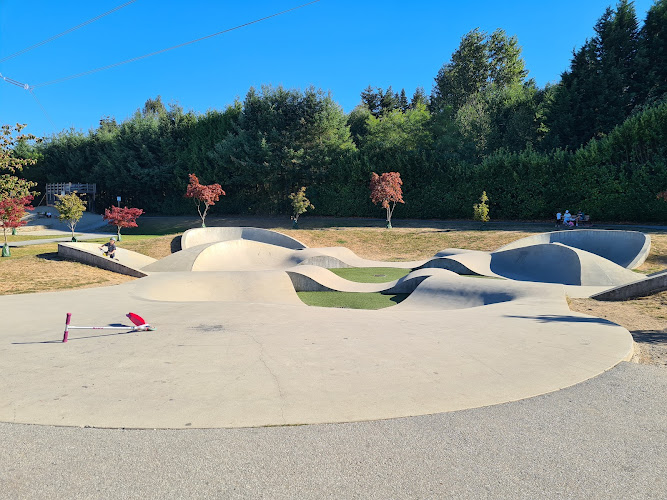 Penzer Action Park