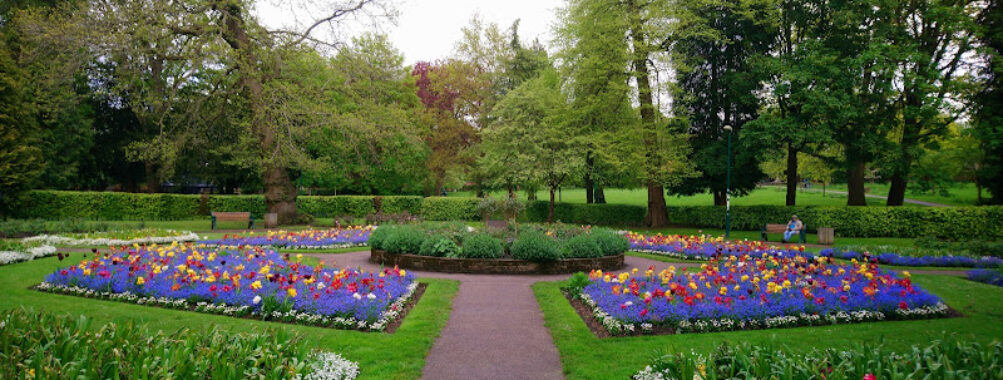 People's Park Travel Forum Reviews