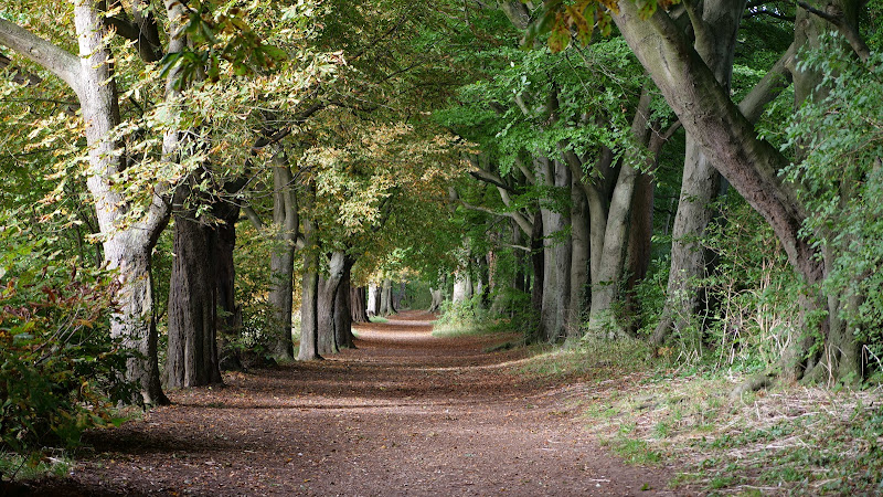 Peoples Park