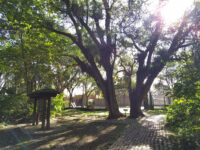 Percy Hill Park Travel Forum Reviews