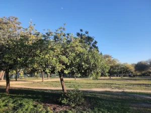 Periurbano Porzuna Park