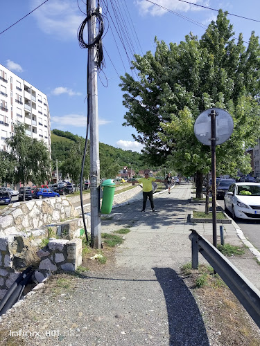 Pesacka zona