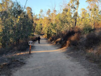 Peters Canyon South Trailhead Travel Forum Reviews