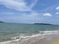 Phe Arboretum Travel Forum Reviews