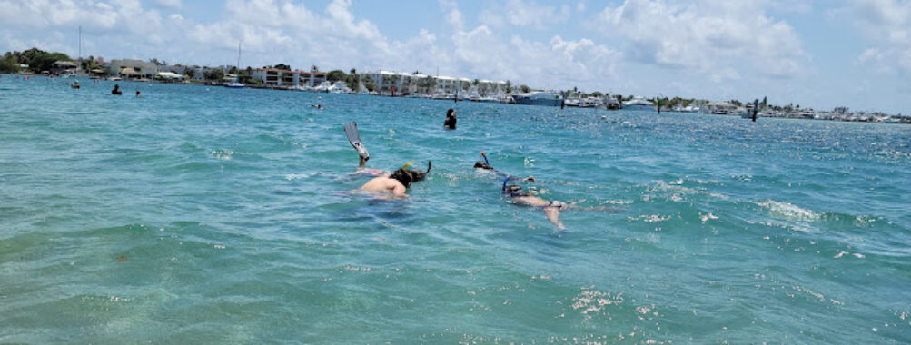 Phil Foster Park Travel Forum Reviews