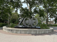 Philadelphia Zoo Travel Forum Reviews