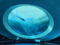 Phillip & Patricia Frost Museum of Science Travel Forum Reviews