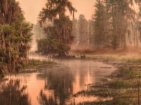 Phinizy Swamp Nature Park Travel Forum Reviews