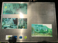Phnom Kbal Romeas Travel Forum Reviews
