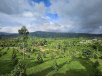 Phnum Samkos Wildlife Sanctuary Travel Forum Reviews