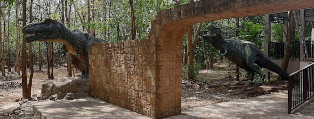 Phu Faek Forest Park, Dinosaur Footprints Travel Forum Reviews