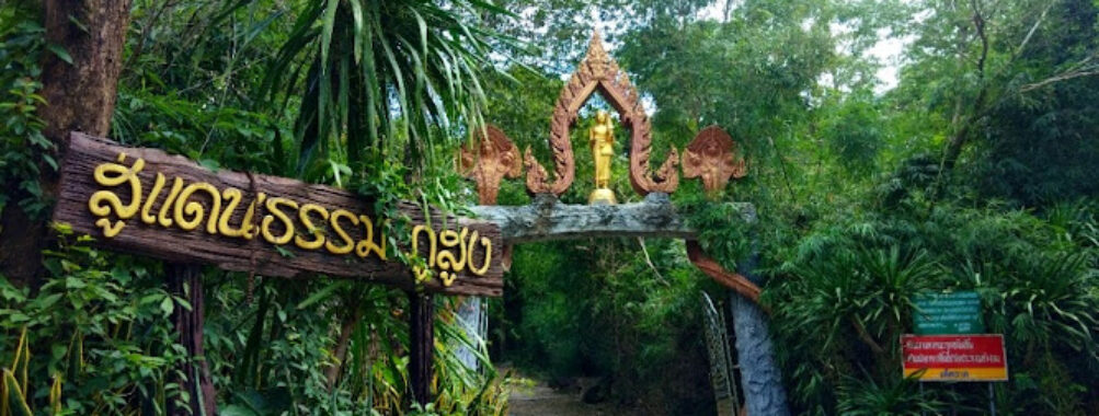 Phu Sa Dok Bua National Park Travel Forum Reviews