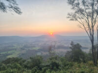 Phu Sa Dok Bua National Park Travel Forum Reviews